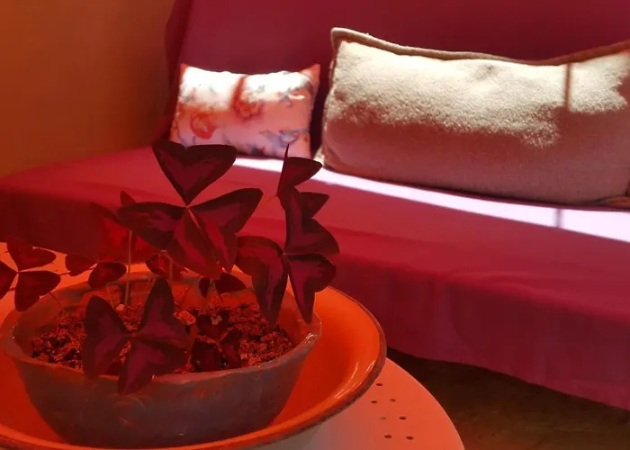 Melekler Готель типу 