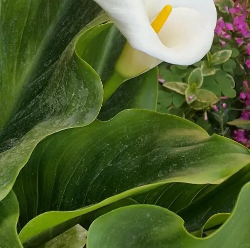 Melekler Готель типу 