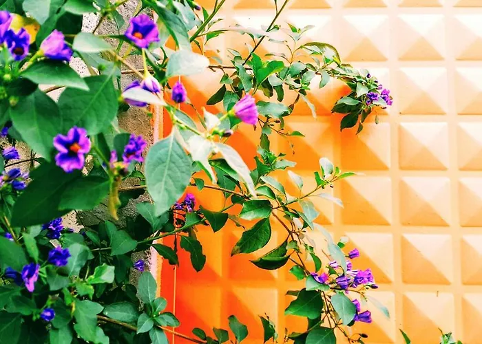 Bed & Breakfast Melekler *