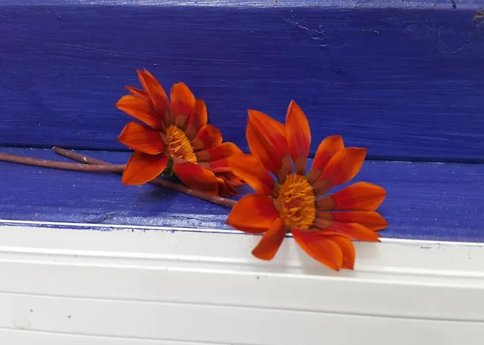 Melekler Bed & Breakfast Ayvalı